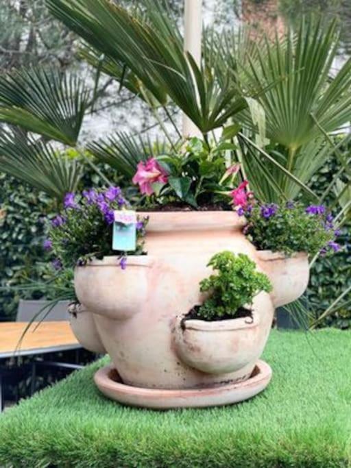 Un Petit Coin De Paradis تولوز المظهر الخارجي الصورة