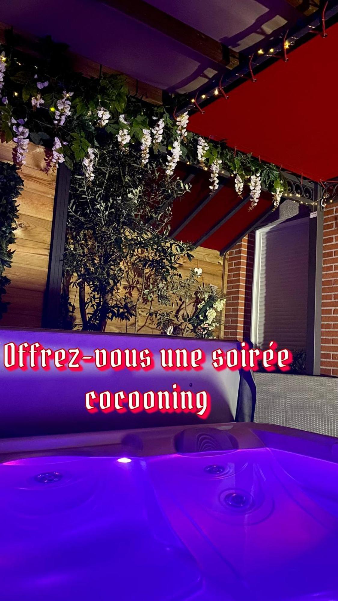 Un Petit Coin De Paradis تولوز المظهر الخارجي الصورة